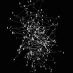 Categorical Data: Mapping the Hidden Patterns of Behavior
