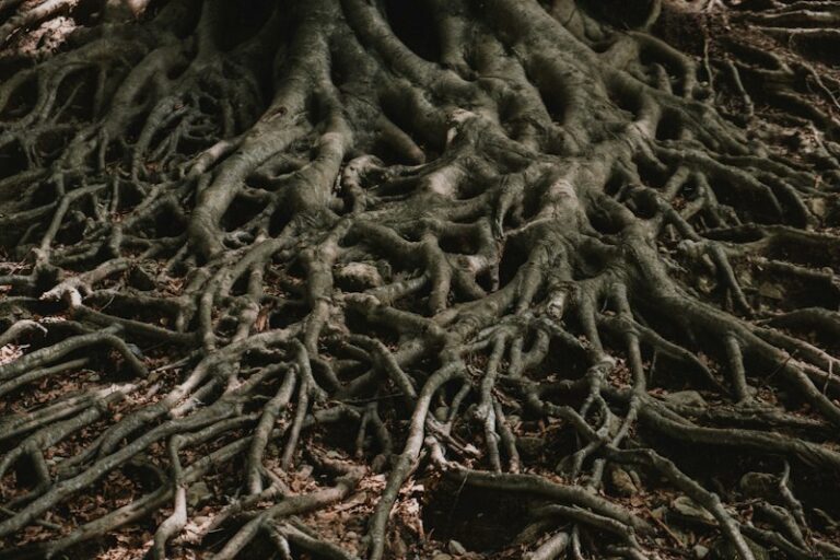 Causation: Decoding the Roots of Human Behavior