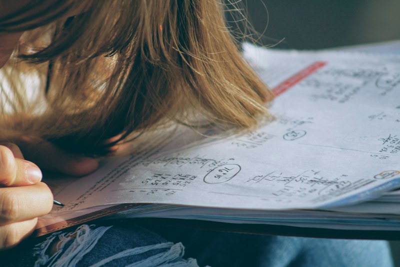 Cognitive Assessment: Rethinking Open-Book Exams