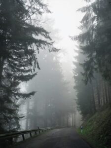 Cognitive Disorientation: Finding Clarity in the Fog