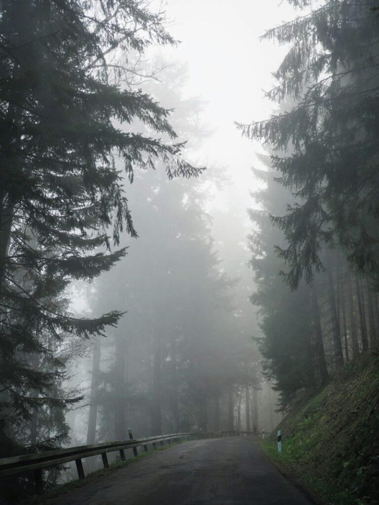 Cognitive Disorientation: Finding Clarity in the Fog