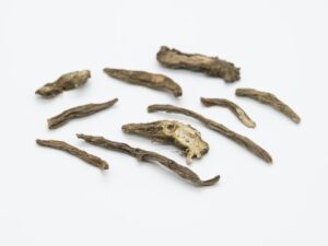 Cognitive Enhancement: Unlocking the Power of Suma Root