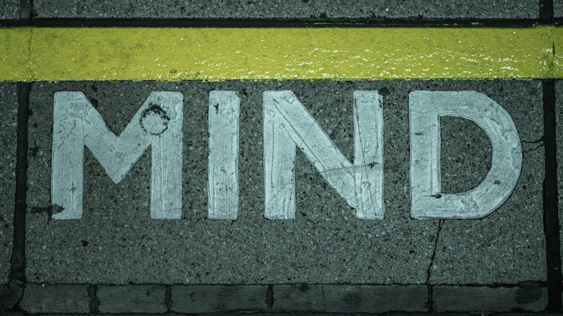Cognitive Guardianship: Securing Assets and Fragile Minds