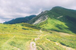 Cognitive Orientation: Navigate Your Mental Landscape