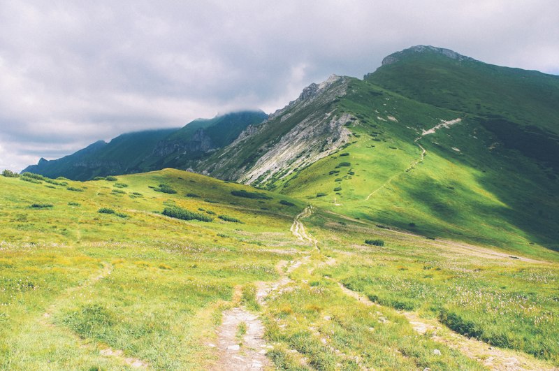 Cognitive Orientation: Navigate Your Mental Landscape