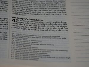 Cognitive Scaffolding: Mastering Deep Text Comprehension