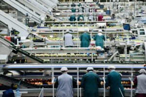Consumer Perception: Why We Fear Safe Food Technologies
