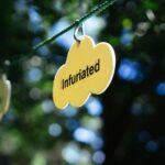 Control Adoptees: Unlocking the Nature versus Nurture Code