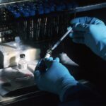 Convenience Sampling: Research Shortcuts or Scientific Flaw?
