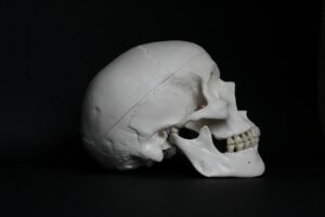 Craniometry: Measuring Character Through Skull Shape