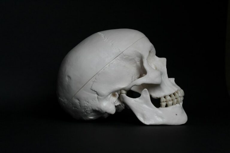 Craniometry: Measuring Character Through Skull Shape