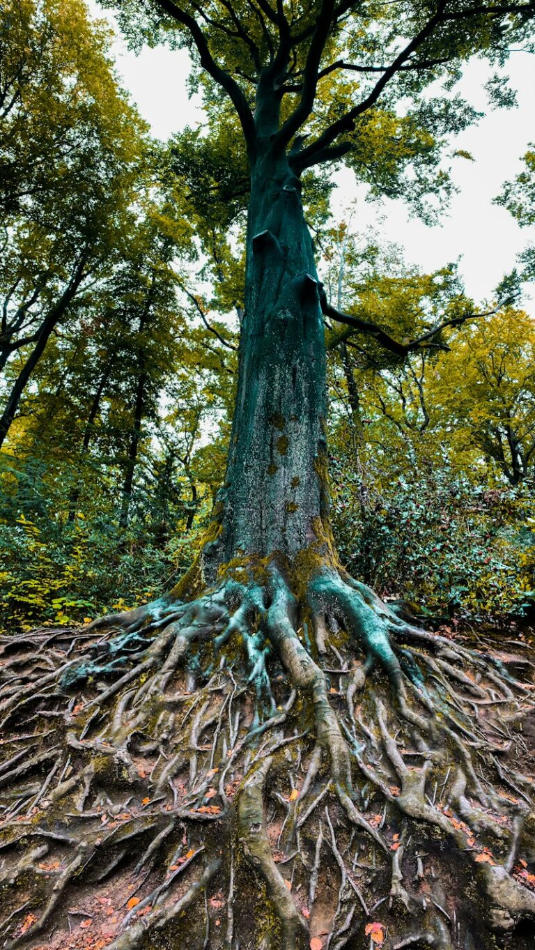 Cultural Psychology: How Your Roots Shape Your Identity