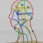 Curvilinear Correlation: Beyond Linear Human Behavior