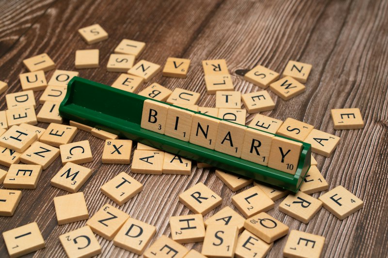 Decision Theory: Decoding How We Make Binary Choices