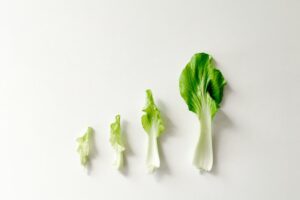 Developmental Growth: Steady Evolution or Sudden Leaps?
