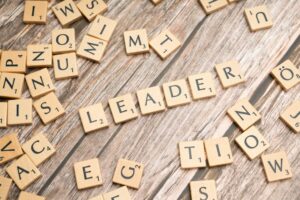 Directive Leadership: Precision in Authority