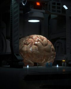 DLPFC: The Brain's Master Command Center