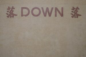 Down Syndrome: Redefining Identity Through Language