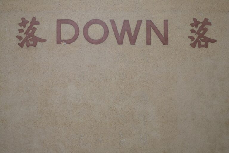 Down Syndrome: Redefining Identity Through Language