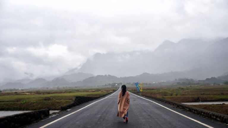 Dromomania: The Compulsive Urge to Wander