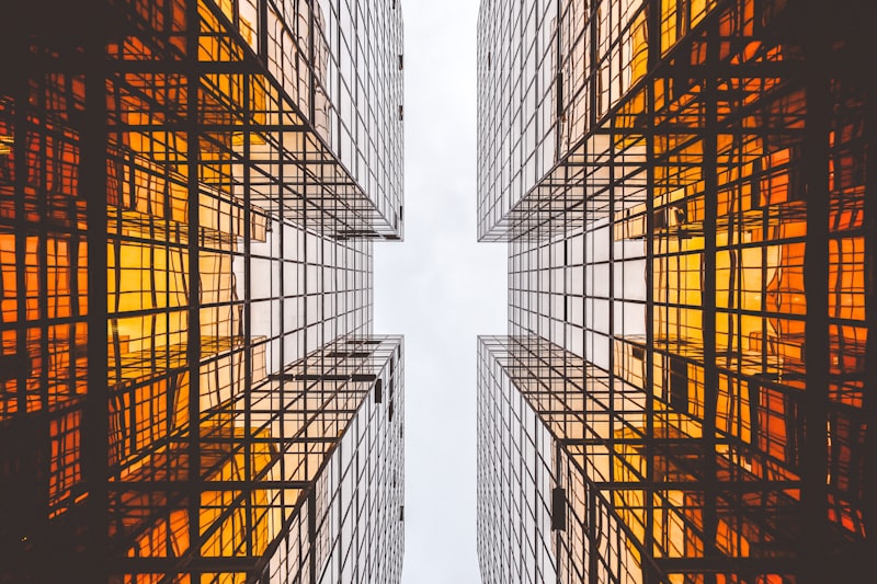 Ego Analysis: Architect of Your Inner World