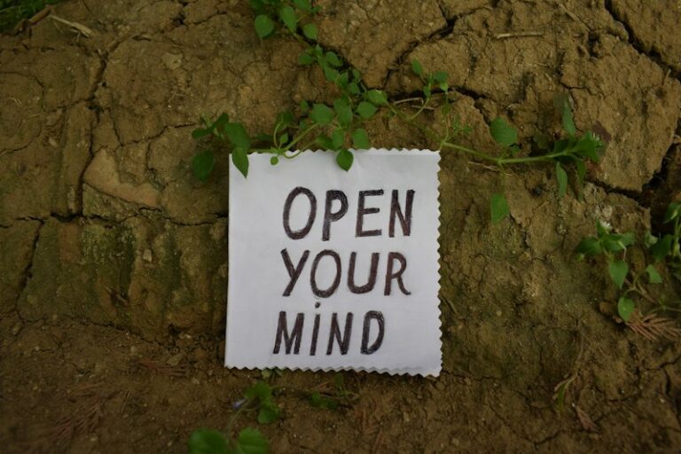 Environmental Psychology: How Your Space Shapes Your Mind