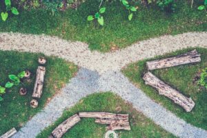 Environmental Psychology: How Your Surroundings Shape You