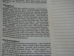 Euphemisms: The Psychology of Polished Speech