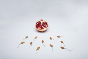 Evolutionary Psychology: The Hidden War for Fertilization