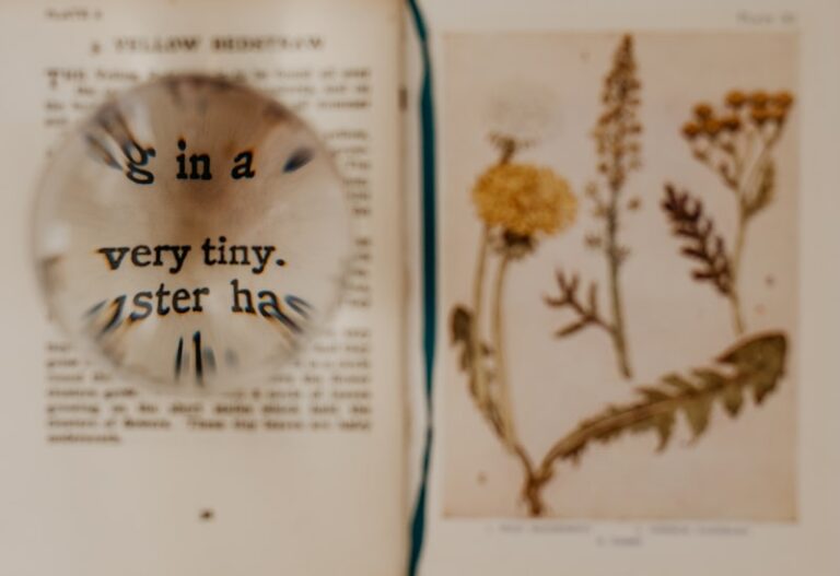 Experimental Aesthetics: Why We Find Things Beautiful