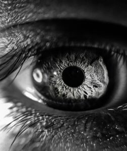 Eye Contact: The Silent Language of Human Connection