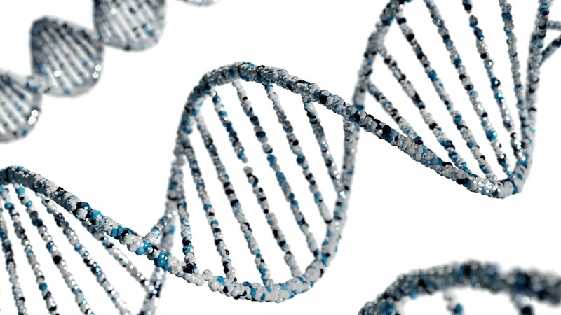 Family Resemblance: Why We Are More Than Our Genes