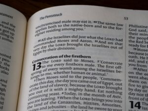 Fanaticism: The Roots of Irrational Devotion