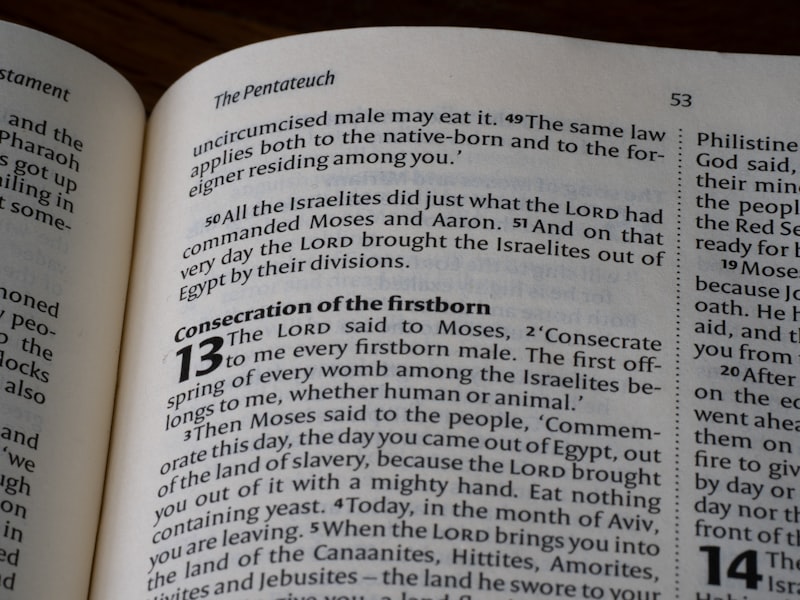 Fanaticism: The Roots of Irrational Devotion