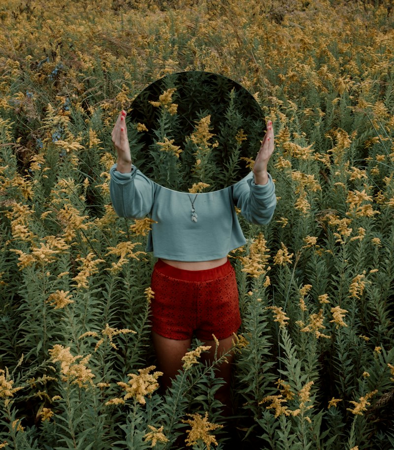 Field of Regard: How Your Mental Focus Shapes Reality