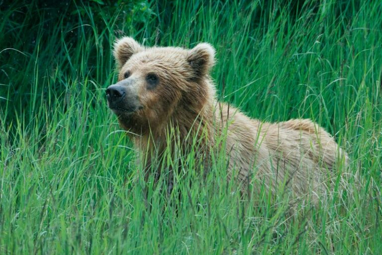 Field Research: Decoding Human Behavior in the Wild