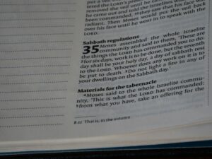 Fixed-Ratio Schedules: The Science of Getting Things Done
