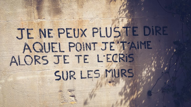 Folie à Deux: When Delusions Become a Shared Reality