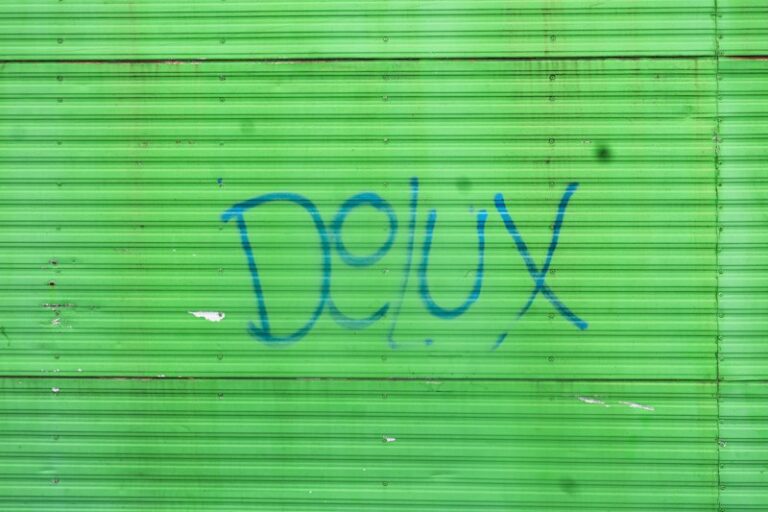 Folie à Deux: When Delusions Become Contagious