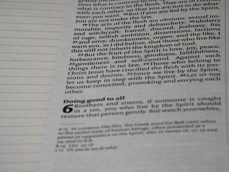 Gestalt Quality: Beyond the Sum of Your Perceptions