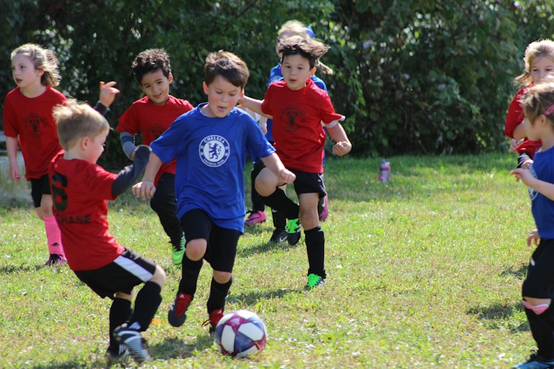 Group Dynamics: Unlocking Synergy through Physical Play