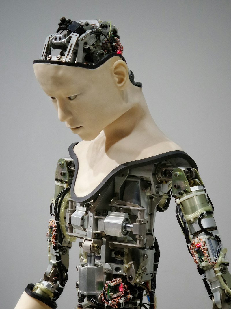 Human-Computer Interaction: Bridging Minds and Machines