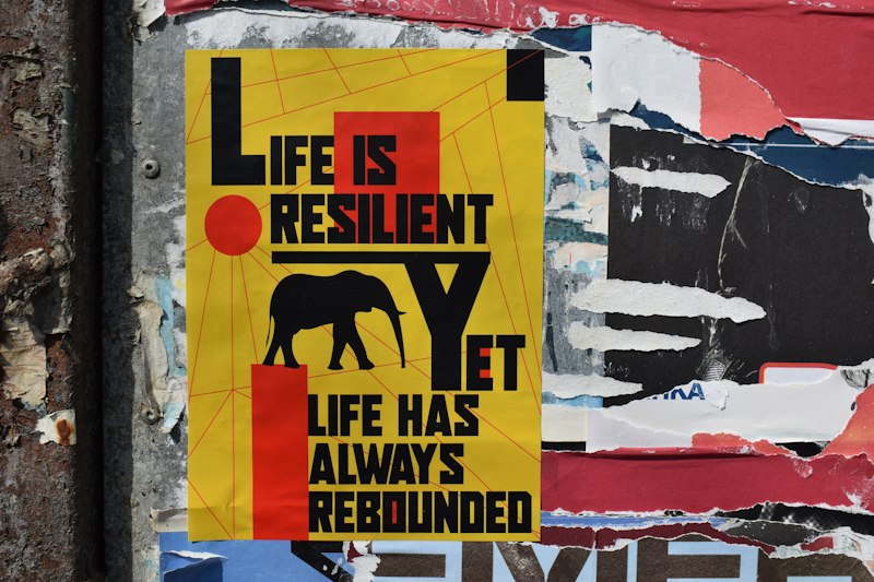 In Vivo Desensitization: Conquer Phobias and Reclaim Life