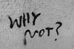 Interim Behavior: Why We Act Without Purpose