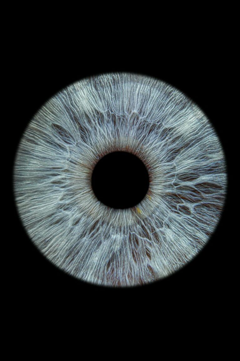 Iris Analysis: Mapping the Mind Through Your Eyes