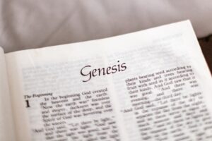 Jensenism: Genetics and the Roots of Intelligence
