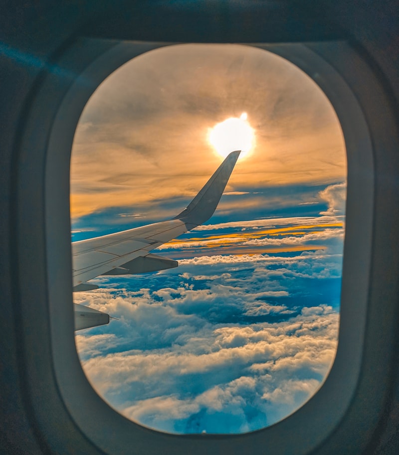Kinetosis: Why Your Brain Fails During Flight