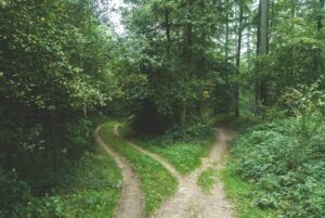 Least Restrictive Environment: Inclusive Paths to Growth