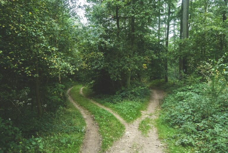 Least Restrictive Environment: Inclusive Paths to Growth