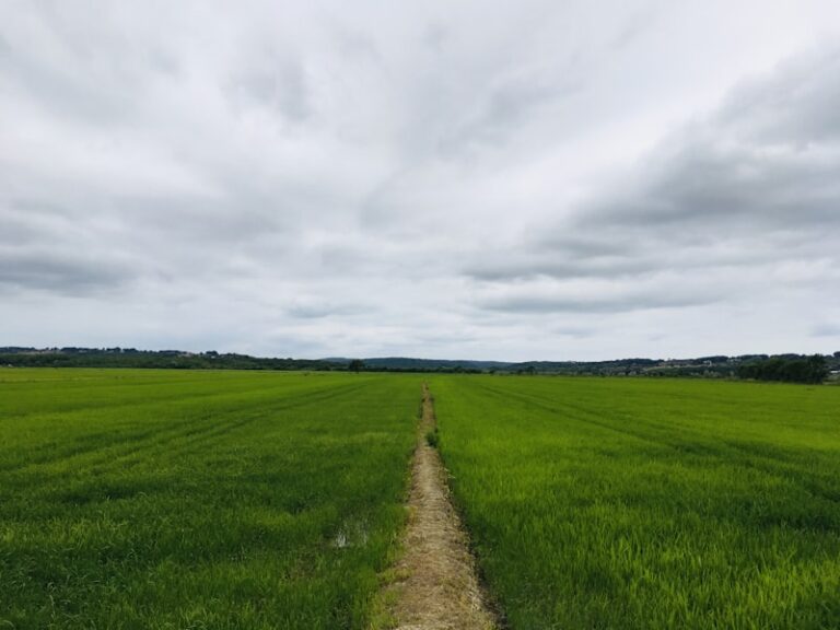Leaving the Field: Break Free to Find Your Path